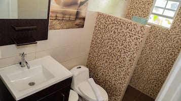 Shower, free toiletries, hair dryer, towels