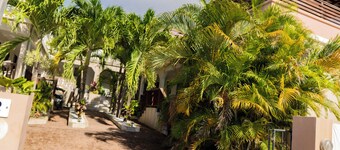 Palm Spring Inn