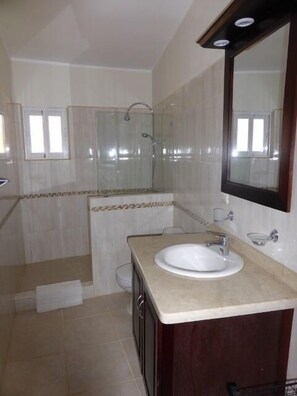 Une salle de bain avec un lavabo, un miroir, une douche et des murs carrelés.