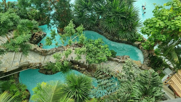 Ein Poolbereich, umgeben von üppiger Vegetation und steinbelagten Wegen.
