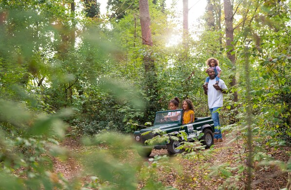 A family in a forested area with a green vehicle. - Sunparks Kempense Meren (Mol)