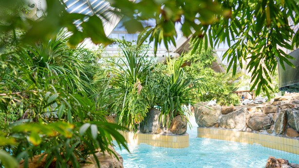 A pool area with clear blue water, surrounded by rocks and lush greenery. - Sunparks Kempense Meren (Mol)