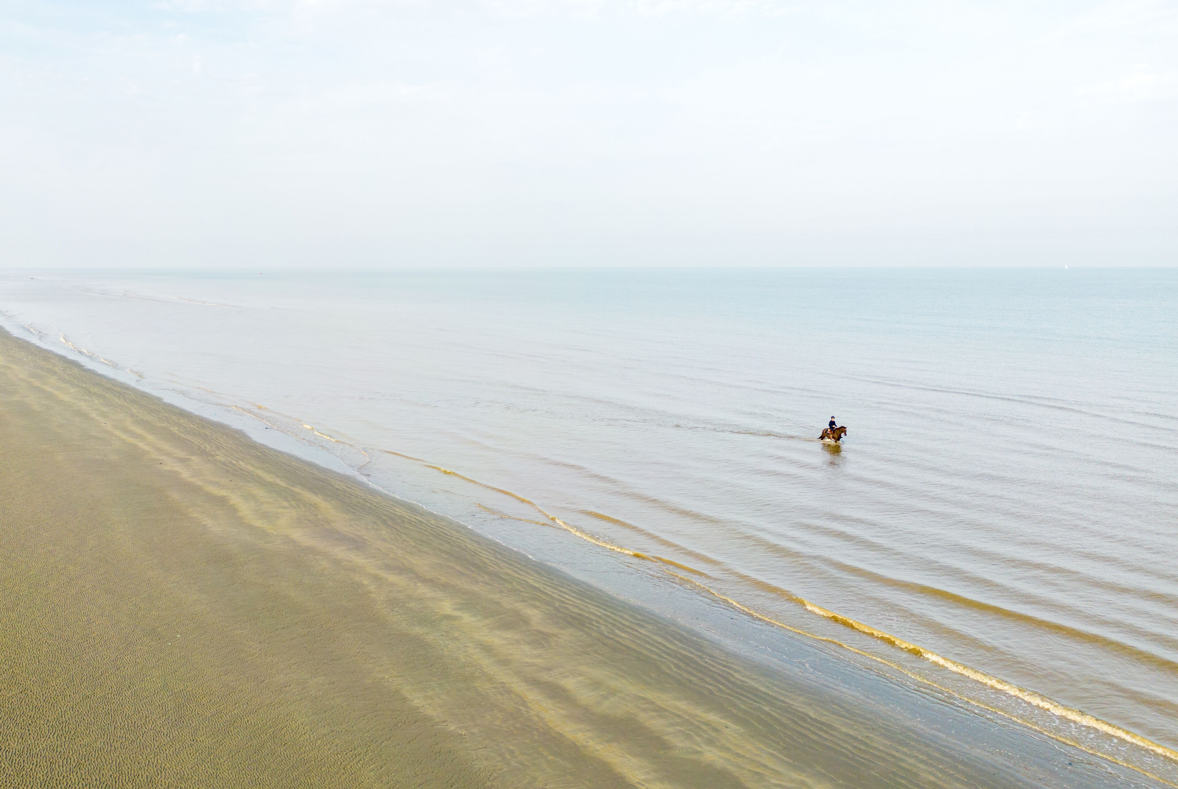 A beach with a person riding a horse on the water.