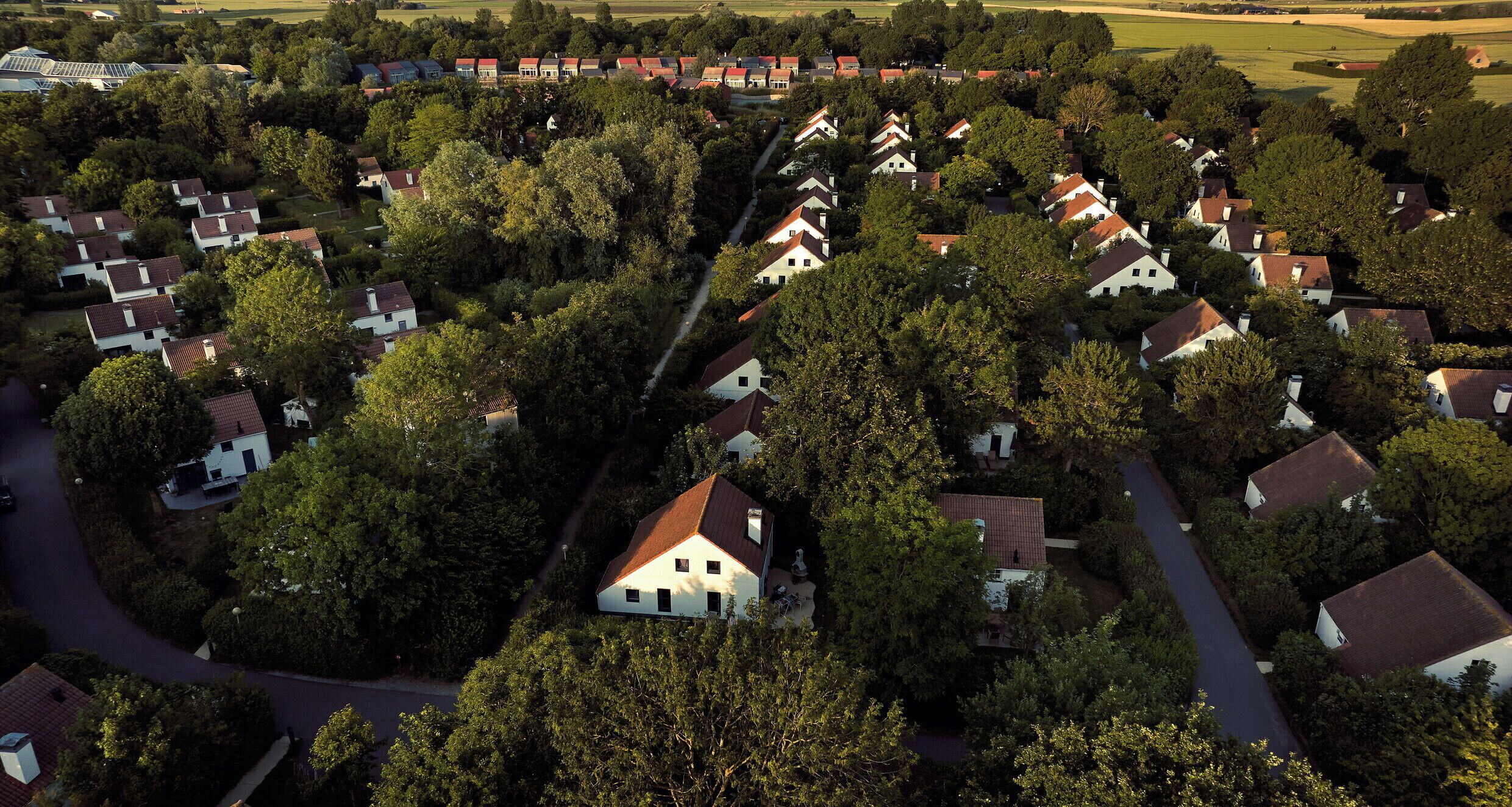 An aerial view of a residential area with houses surrounded by trees.