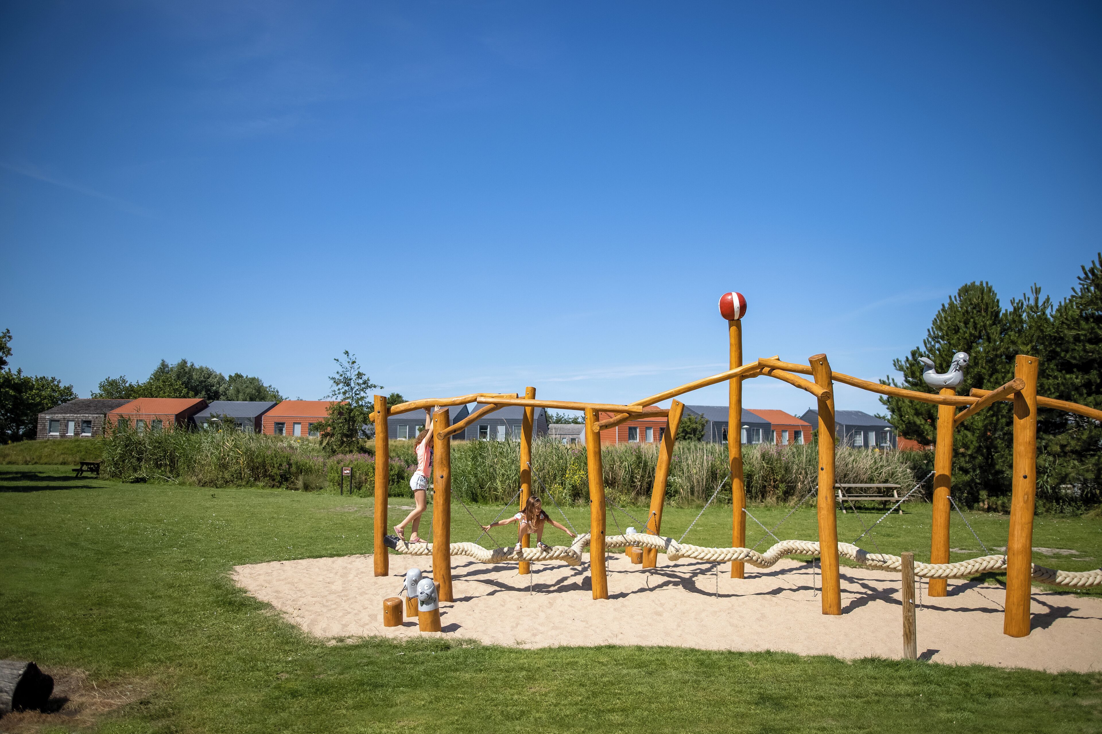 A playground with a rope bridge, swings, and a sandpit.