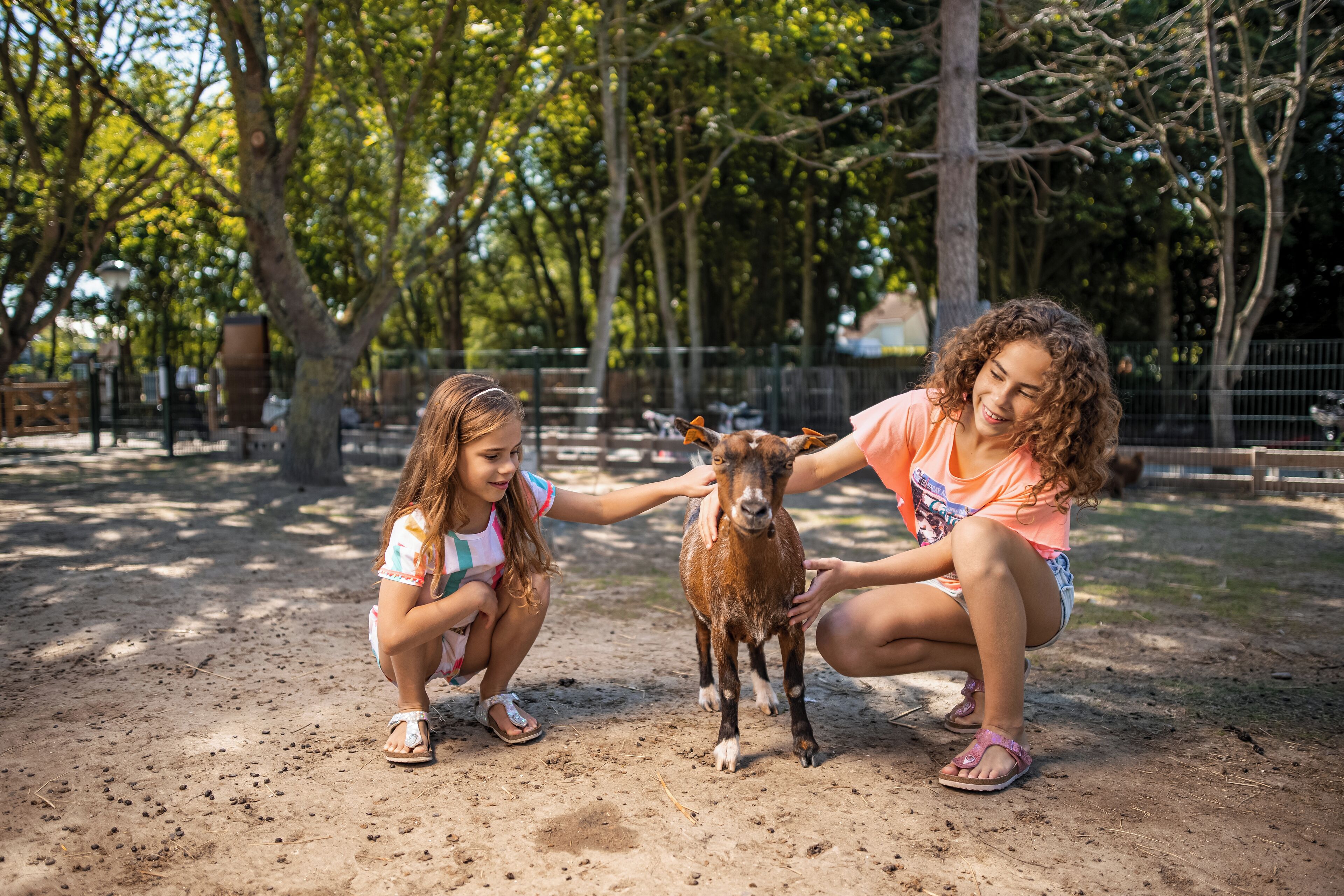 Dos personas acarician una cabra pequeña en un espacio al aire libre con árboles y una cerca.