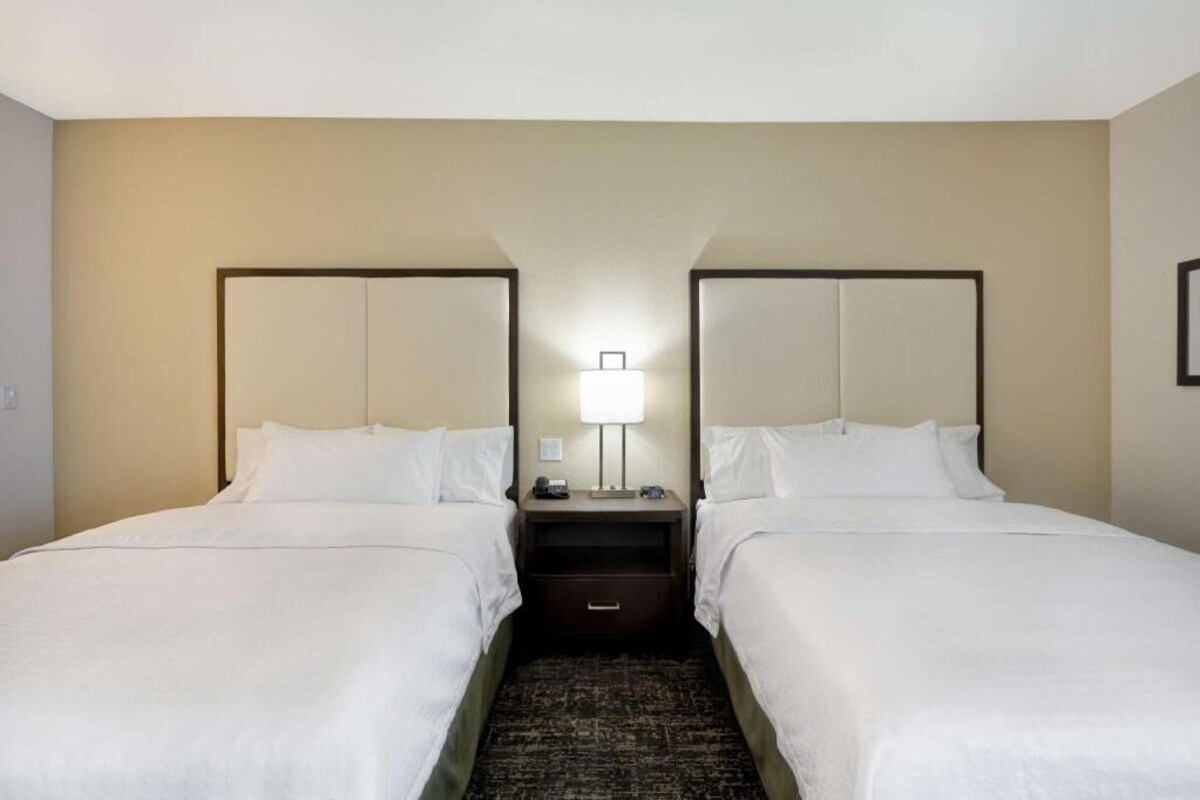 Una habitación de hotel con dos camas, una mesita de noche con lámpara y alfombra oscura.