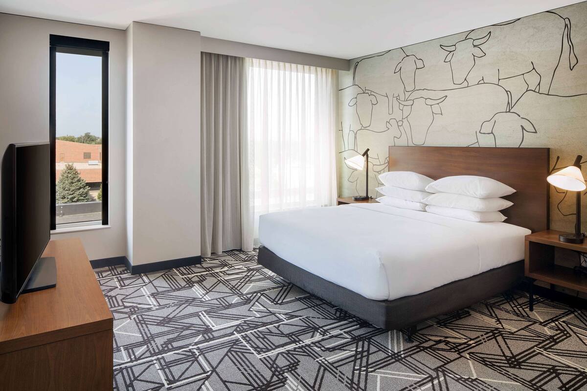 A hotel room with a large bed, a flat-screen TV, a patterned carpet, a window with curtains, and a wall mural.