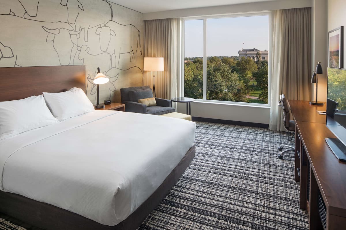 A hotel room with a large bed, a desk, a chair, a lamp, and a view of trees and buildings.
