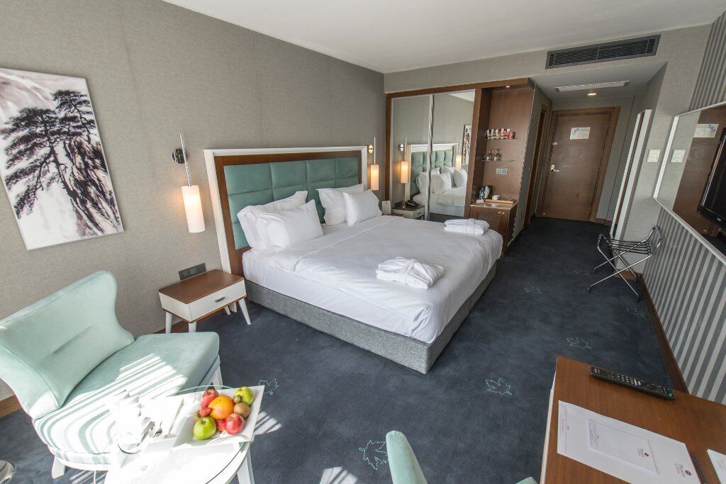 deluxe room | 1 bedroom, egyptian cotton sheets, premium bedding, minibar
