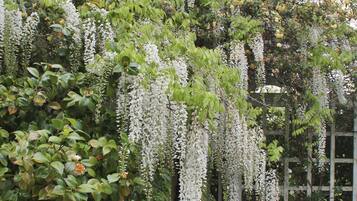 Watercolour Room | View from room