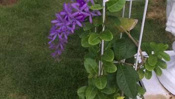 Khuôn viên nơi lưu trú