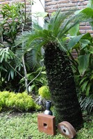 Vistas desde el alojamiento