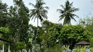 Una piscina rodeada de exuberante vegetación y palmeras.