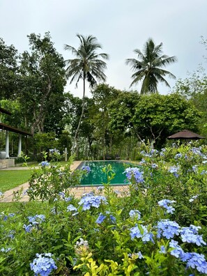Outdoor pool - Leaf Watagala (Ruwanwella)
