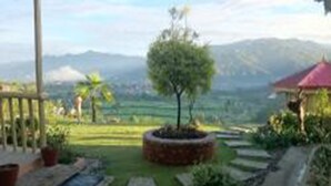 A garden with a central tree, stone pathways, and a red-roofed structure. - Nepal Yoga Retreat (Changunarayan)