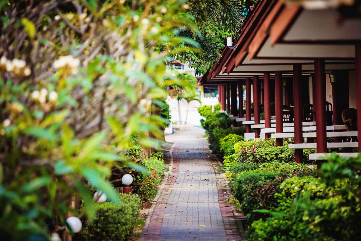garden
