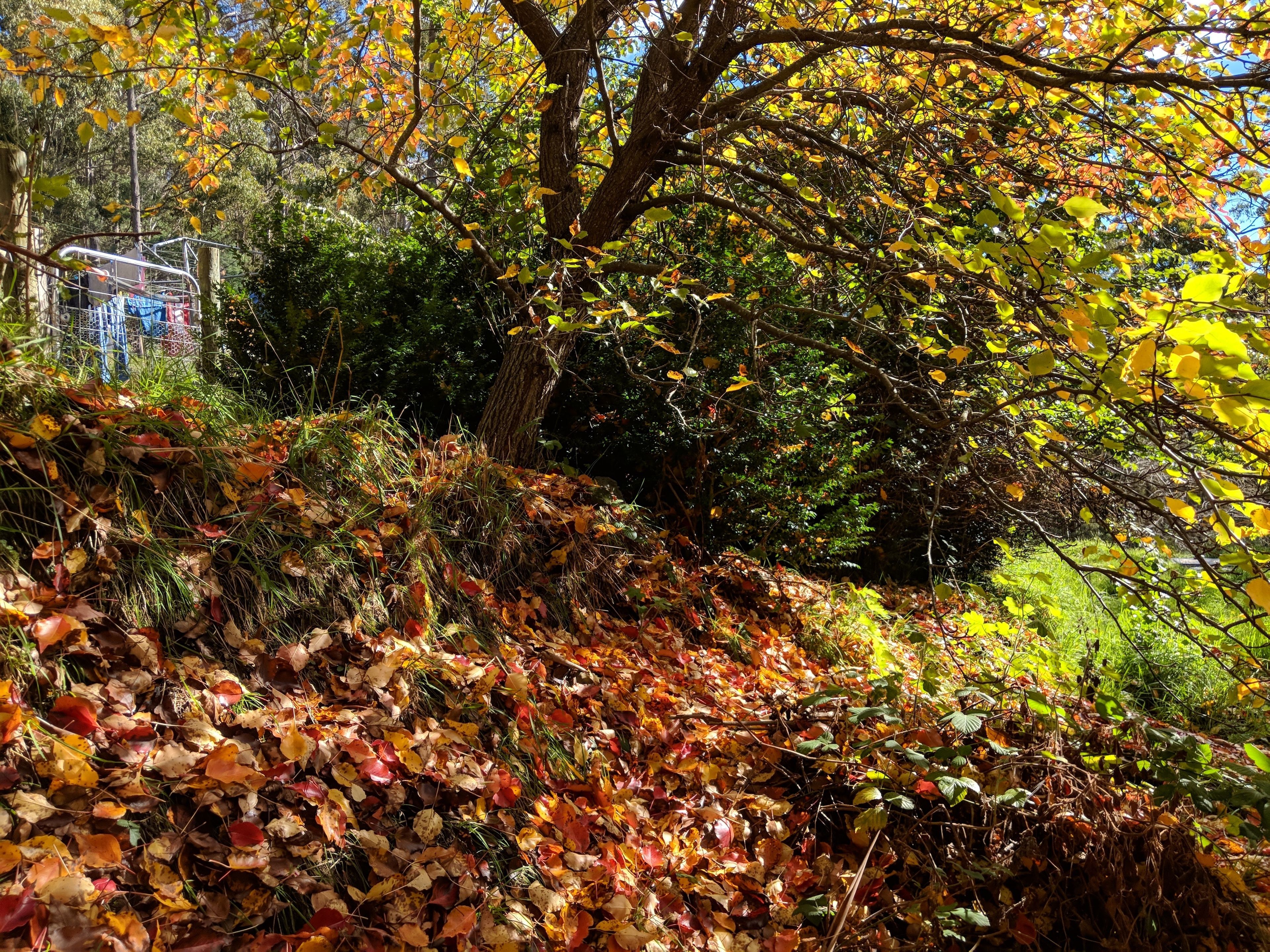 Blick von der Unterkunft