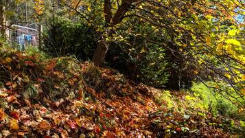 Blick von der Unterkunft