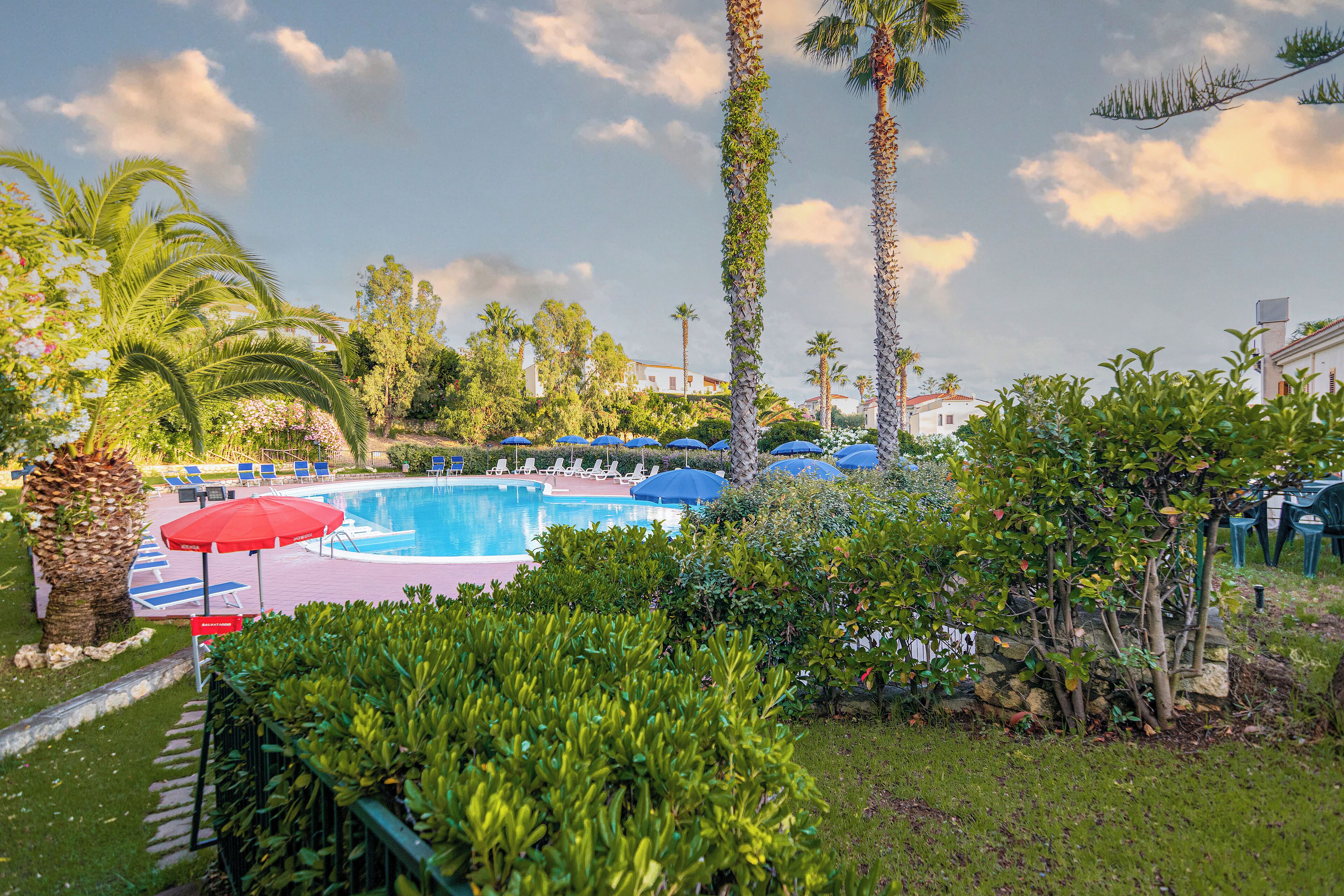 Una piscina rodeada de palmeras y sillas de descanso.