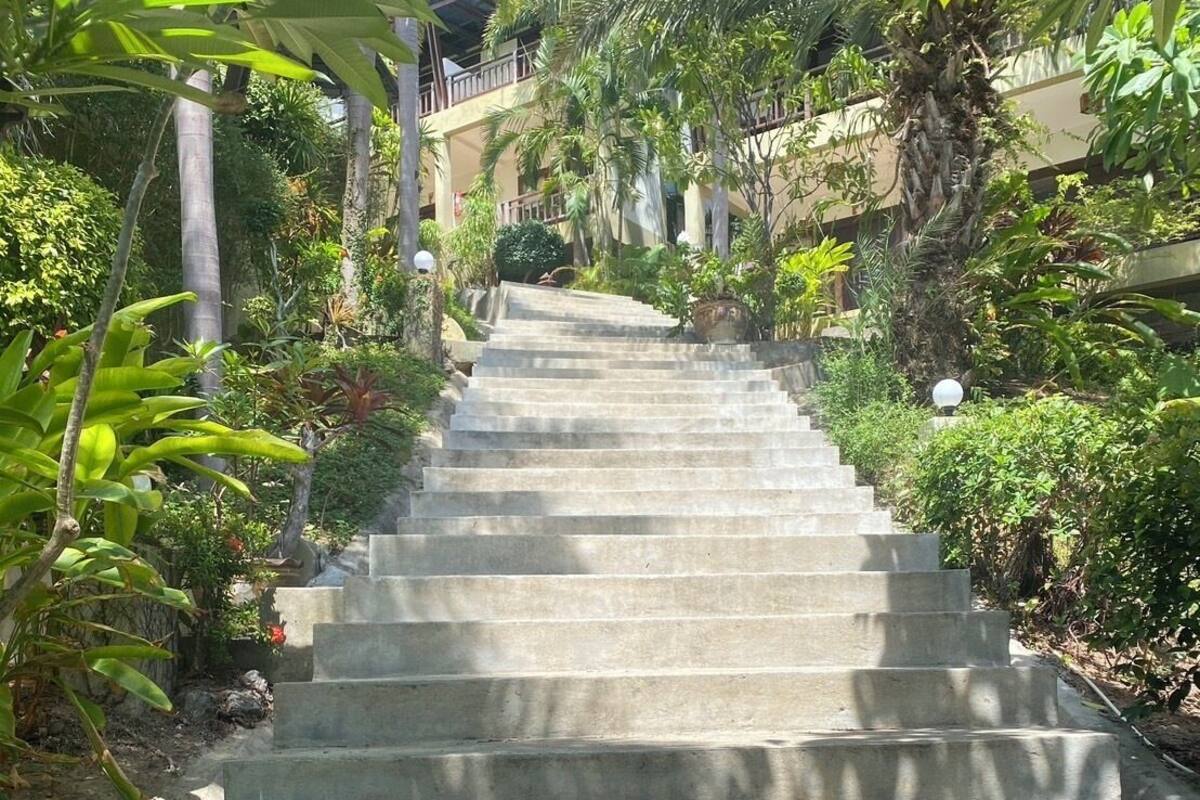 A concrete staircase surrounded by lush greenery, leading to a building with a balcony.
