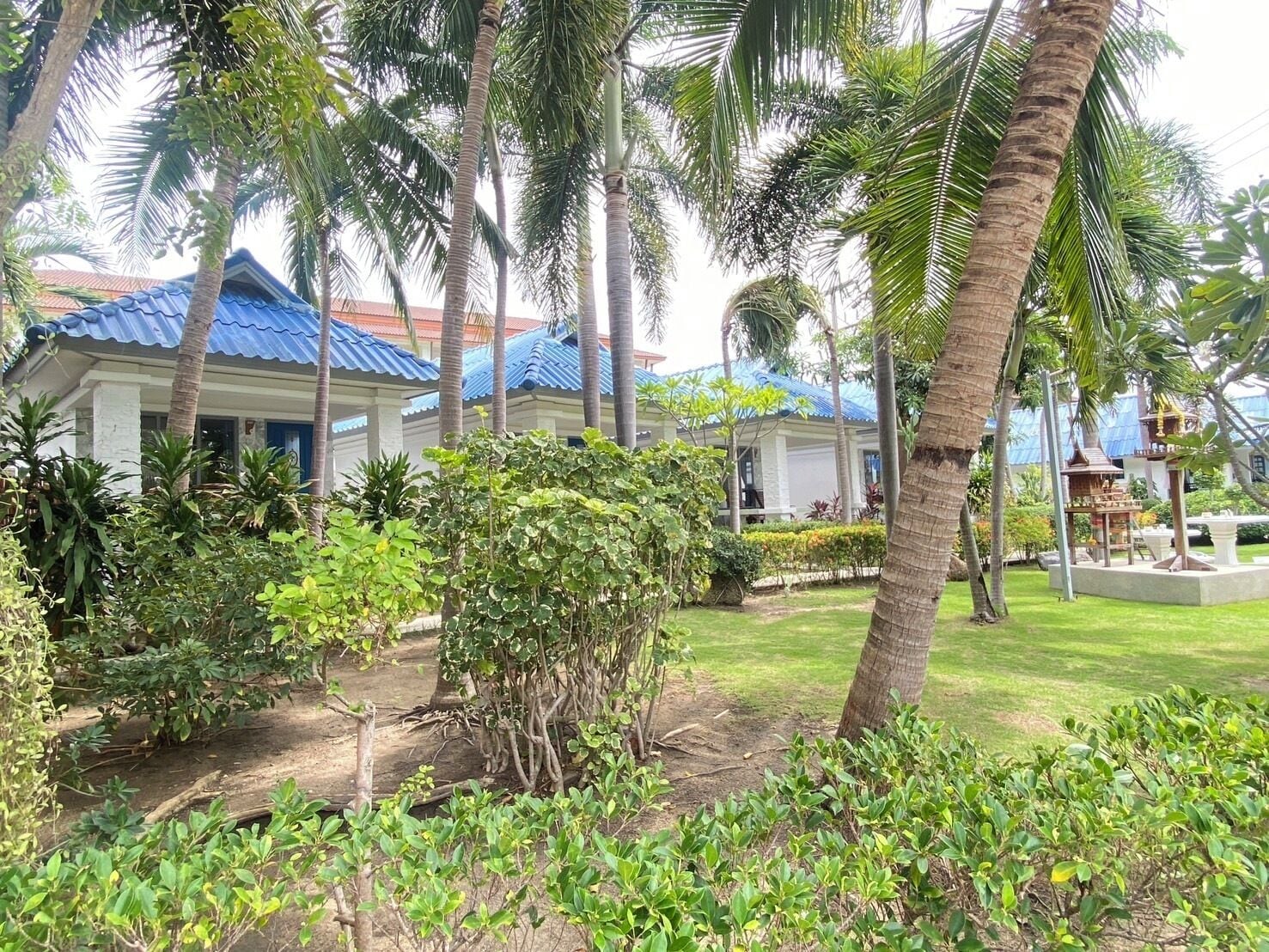 วิวจากห้องพัก