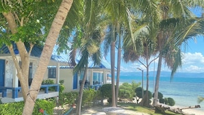Una propiedad frente a la playa con un patio, palmeras y vistas al océano.