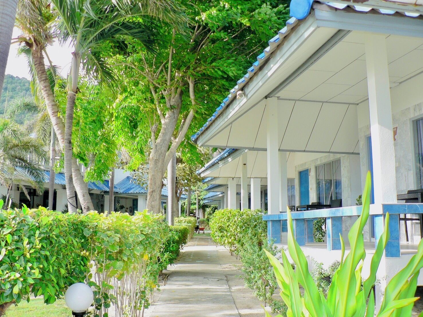 A covered walkway lined with palm trees and a row of buildings with blue and white exteriors.