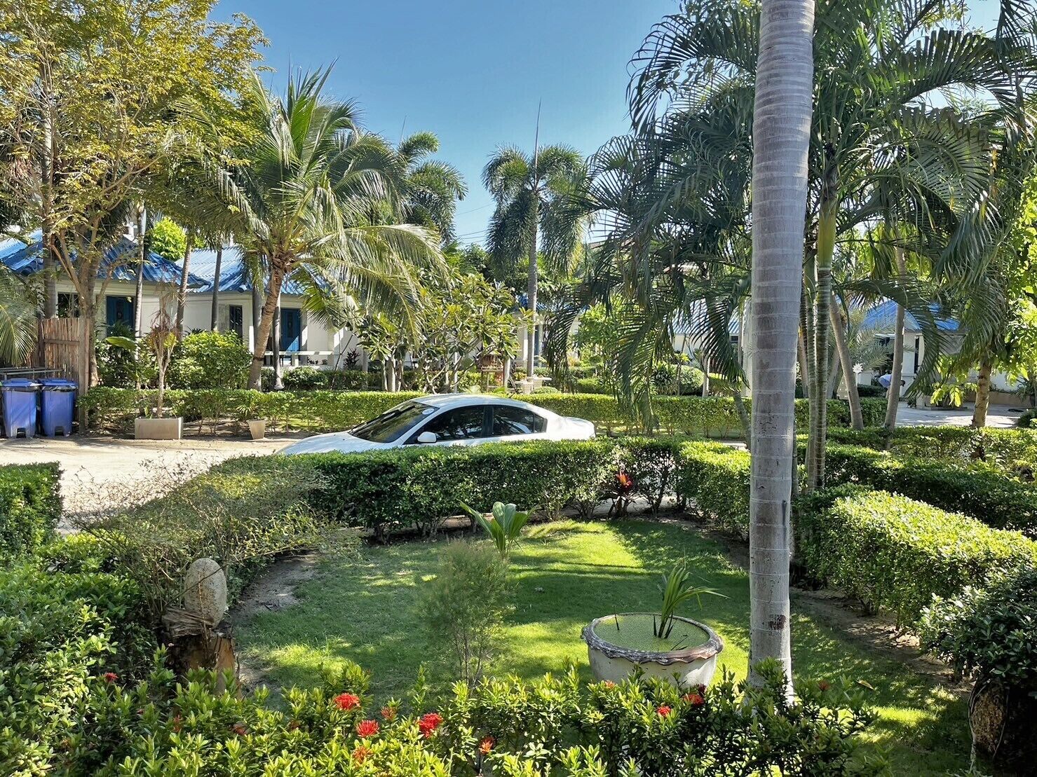 Un coche blanco aparcado en un jardín cuidado, con palmeras y setos podados.