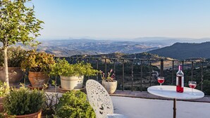 Una terraza con plantas en macetas, una silla blanca, una mesa con una botella y vasos, y una vista panorámica de colinas distantes.