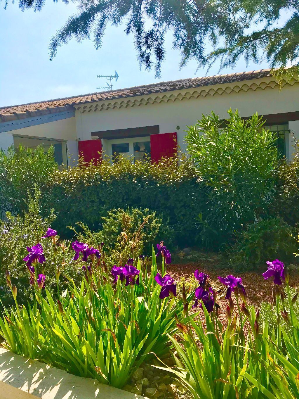 Un edificio con tejado de tejas y contraventanas rojas, rodeado de vegetación exuberante y flores moradas.