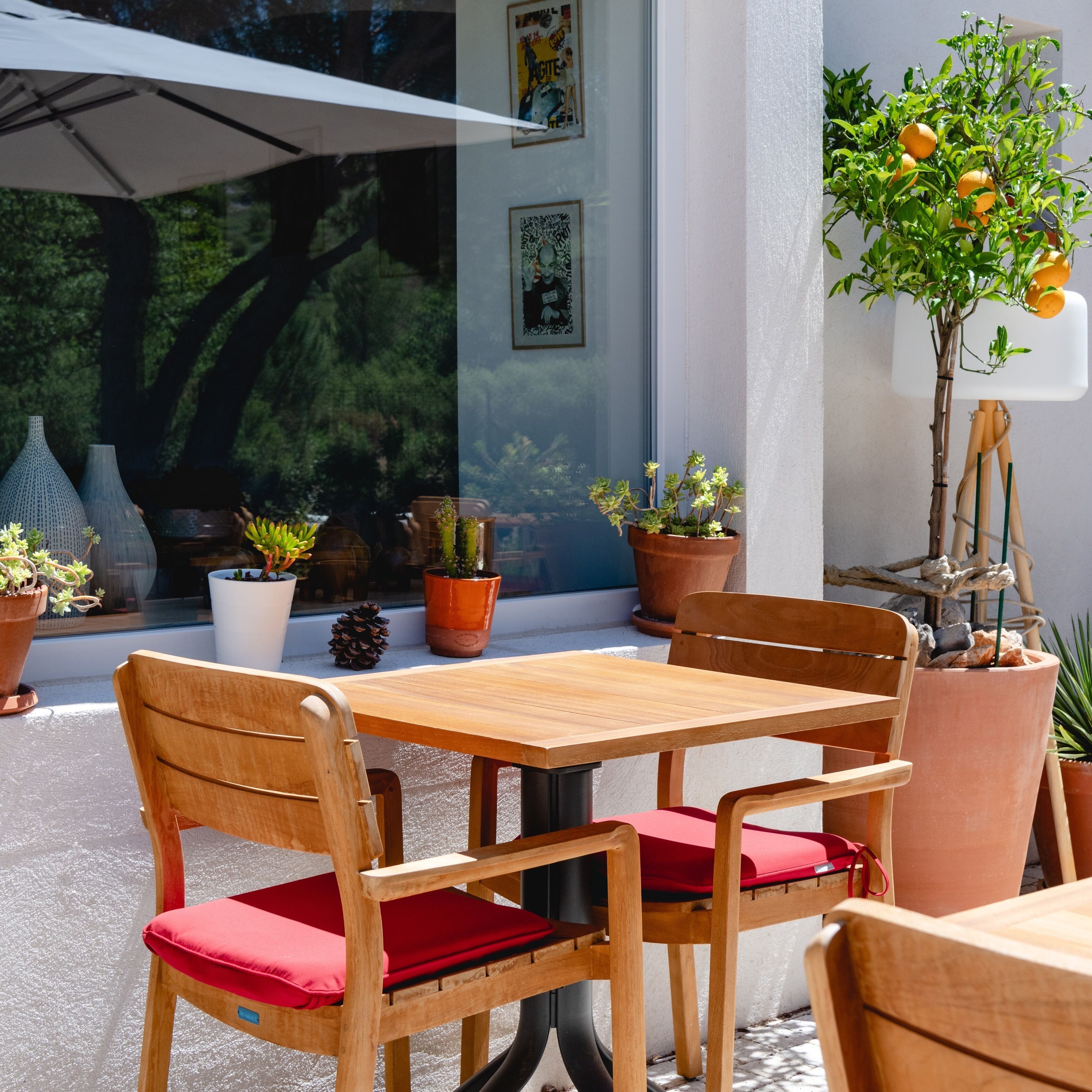 Un espacio al aire libre con mesa y sillas de madera, rodeado de plantas en macetas y un paraguas grande.