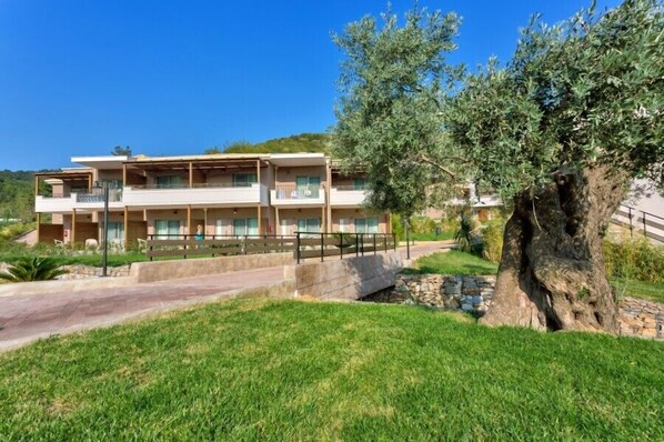 Un edificio de varios pisos con balcones, un sendero de piedra y un árbol grande al frente.