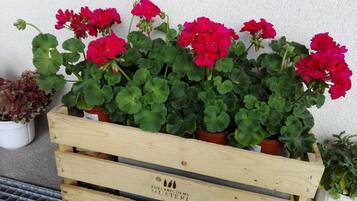 Une caisse en bois remplie de plantes en pot, dont des fleurs rouge vif et un feuillage verdoyant, le tout placé devant un mur à texture.