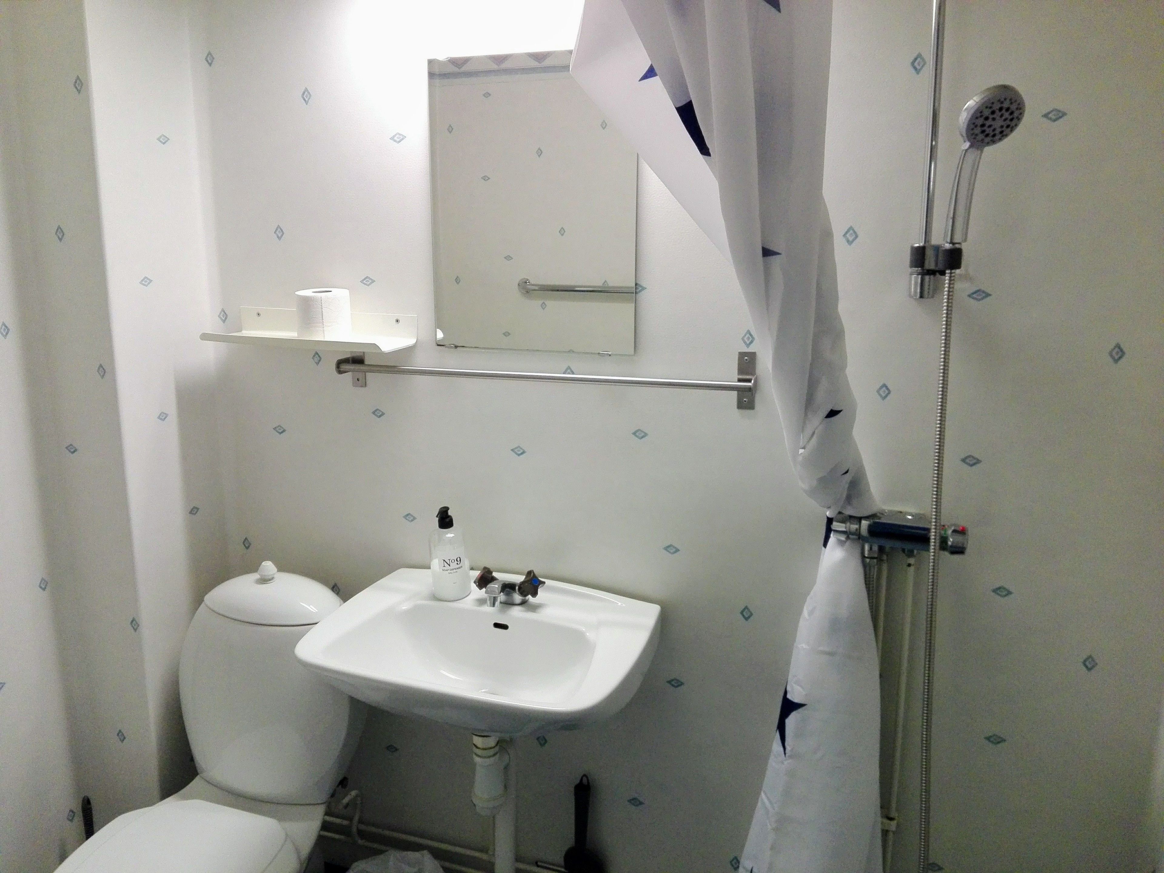 Un baño con inodoro, lavabo y ducha.