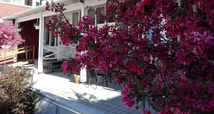 Kristinebergs Bed & Breakfast Mora