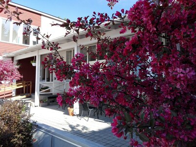 Kristinebergs Bed & Breakfast Mora