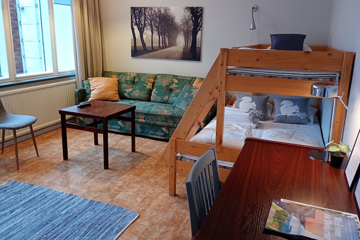 A cozy room with a bunk bed, a sofa, a table, and a chair.