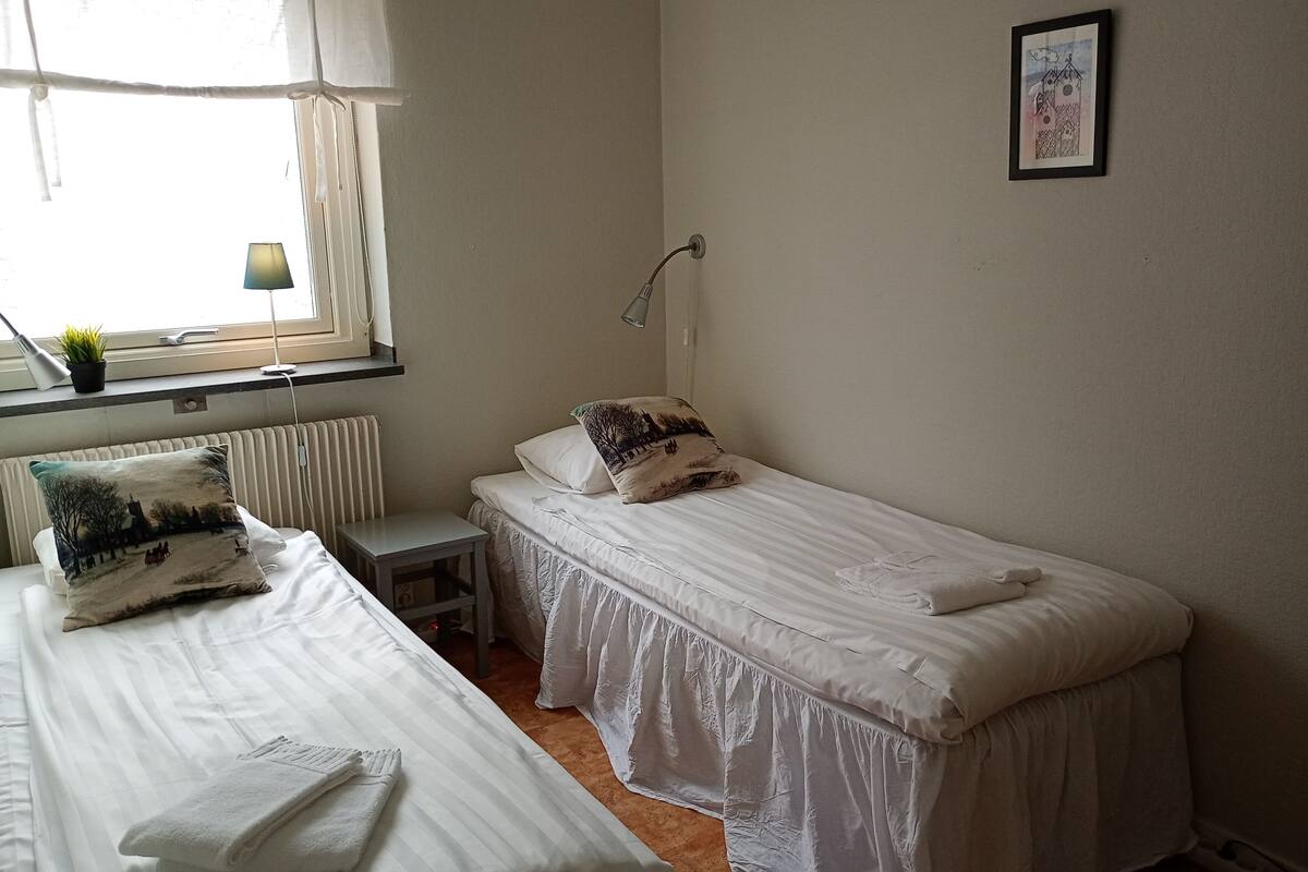 Basic Twin Room | Blackout drapes, iron/ironing board (on request), WiFi (free)