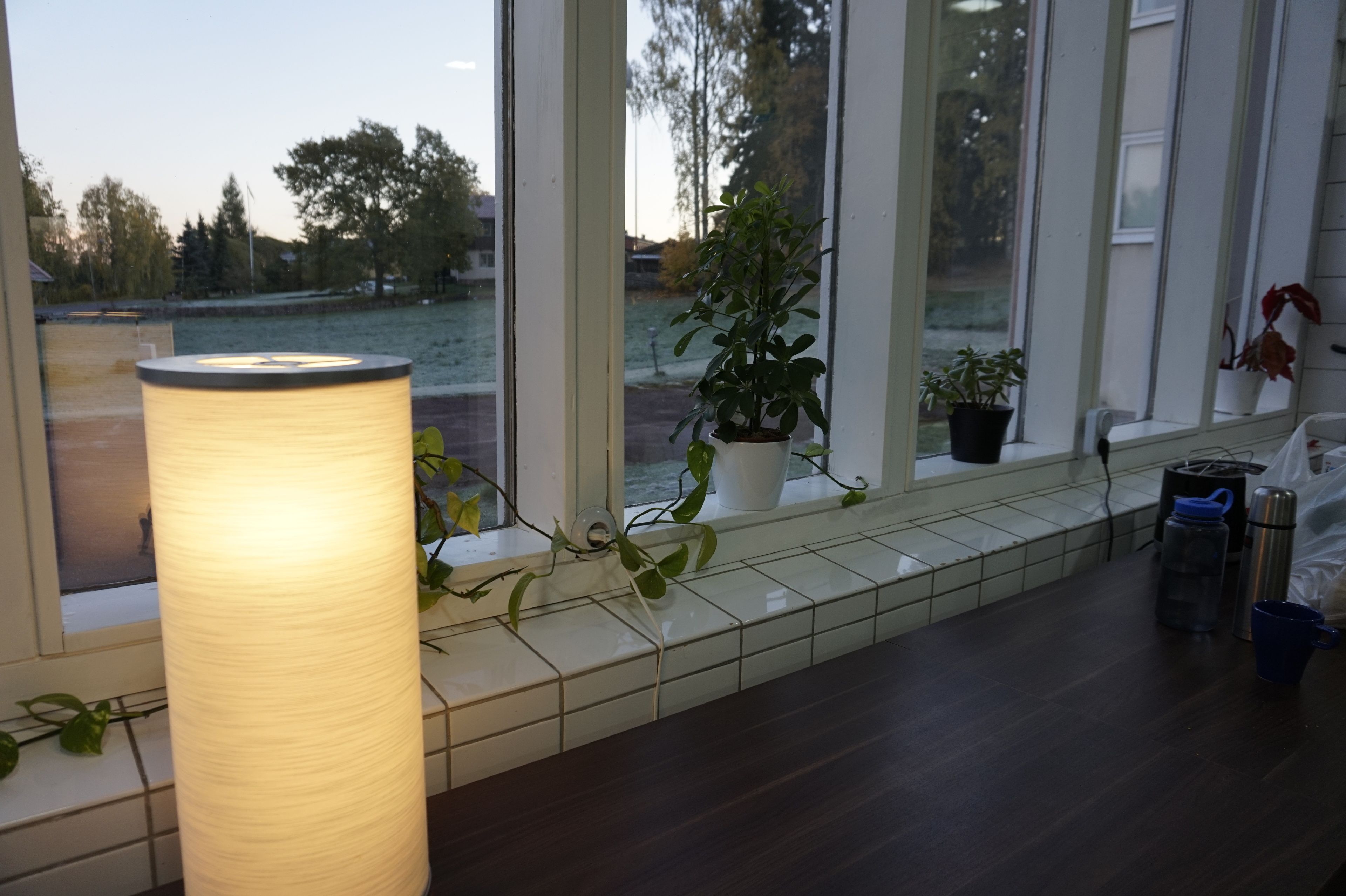 Een kamer met een groot raam, een opgerolde mat, planten in potten en een waterfles op het raamkozijn.