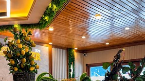 Un buffet proposant une variété de plats, un citronnier en pot et une plante décorative suspendue au plafond.