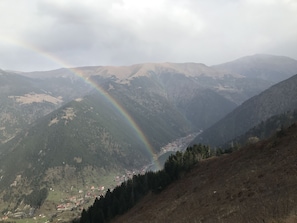 مكان جذب سياحي