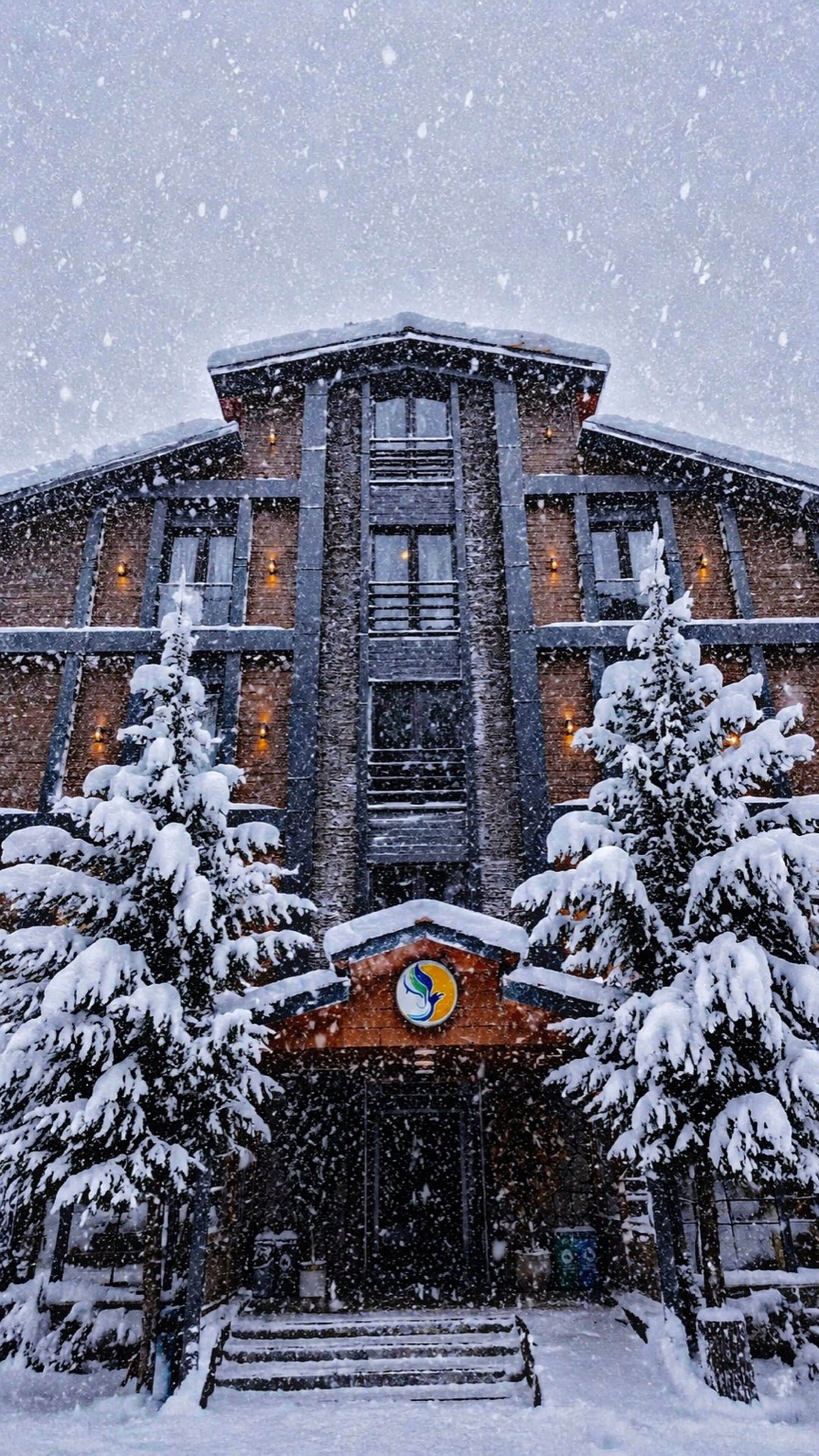 Un bâtiment doté d’une entrée centrale, flanqué d’arbres couverts de neige, sous une chute de neige.