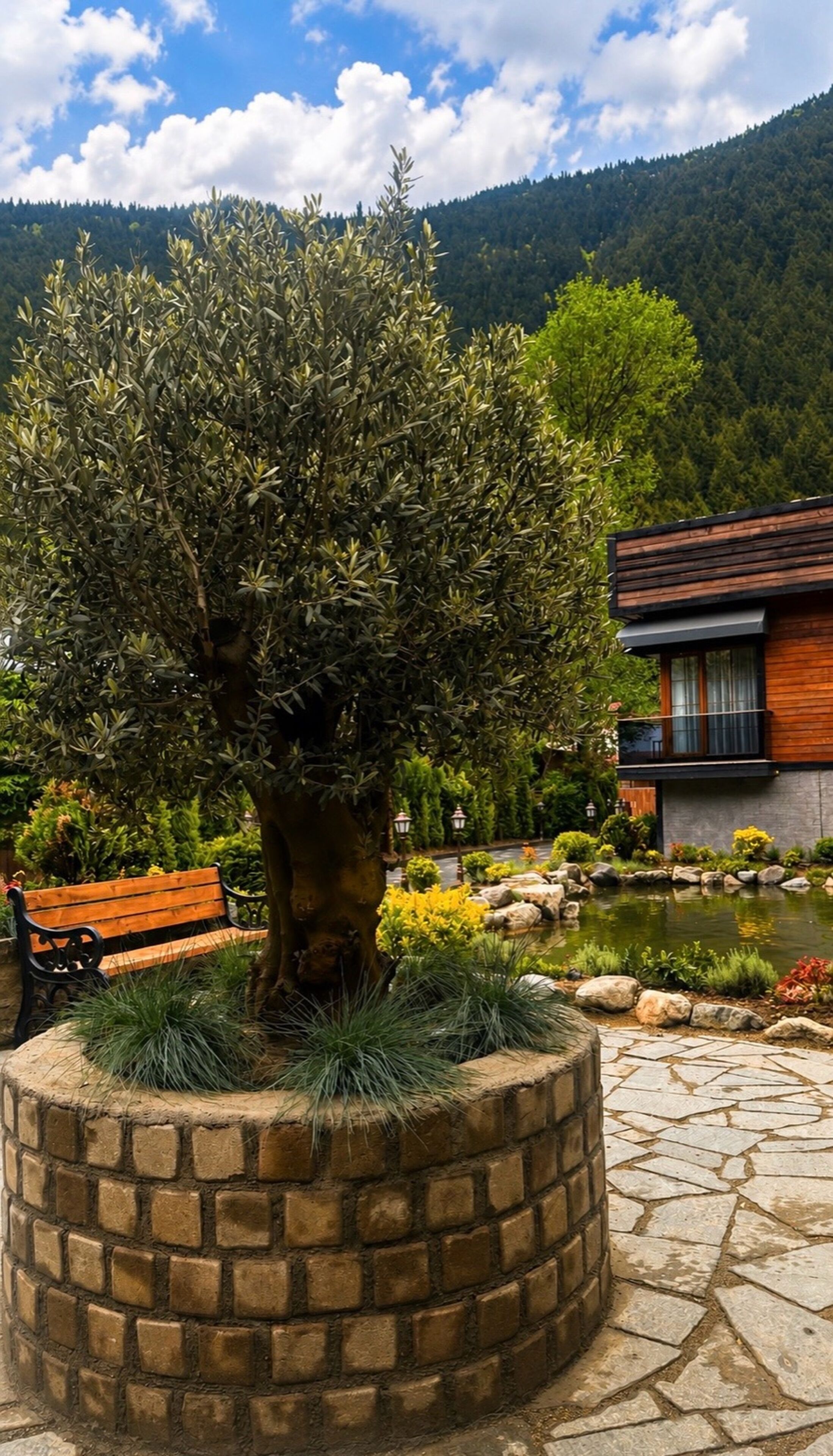 Ein Steinpflanzgefäß mit einem Baum, eine hölzerne Bank, ein Teich und ein modernes Gebäude mit Balkon.