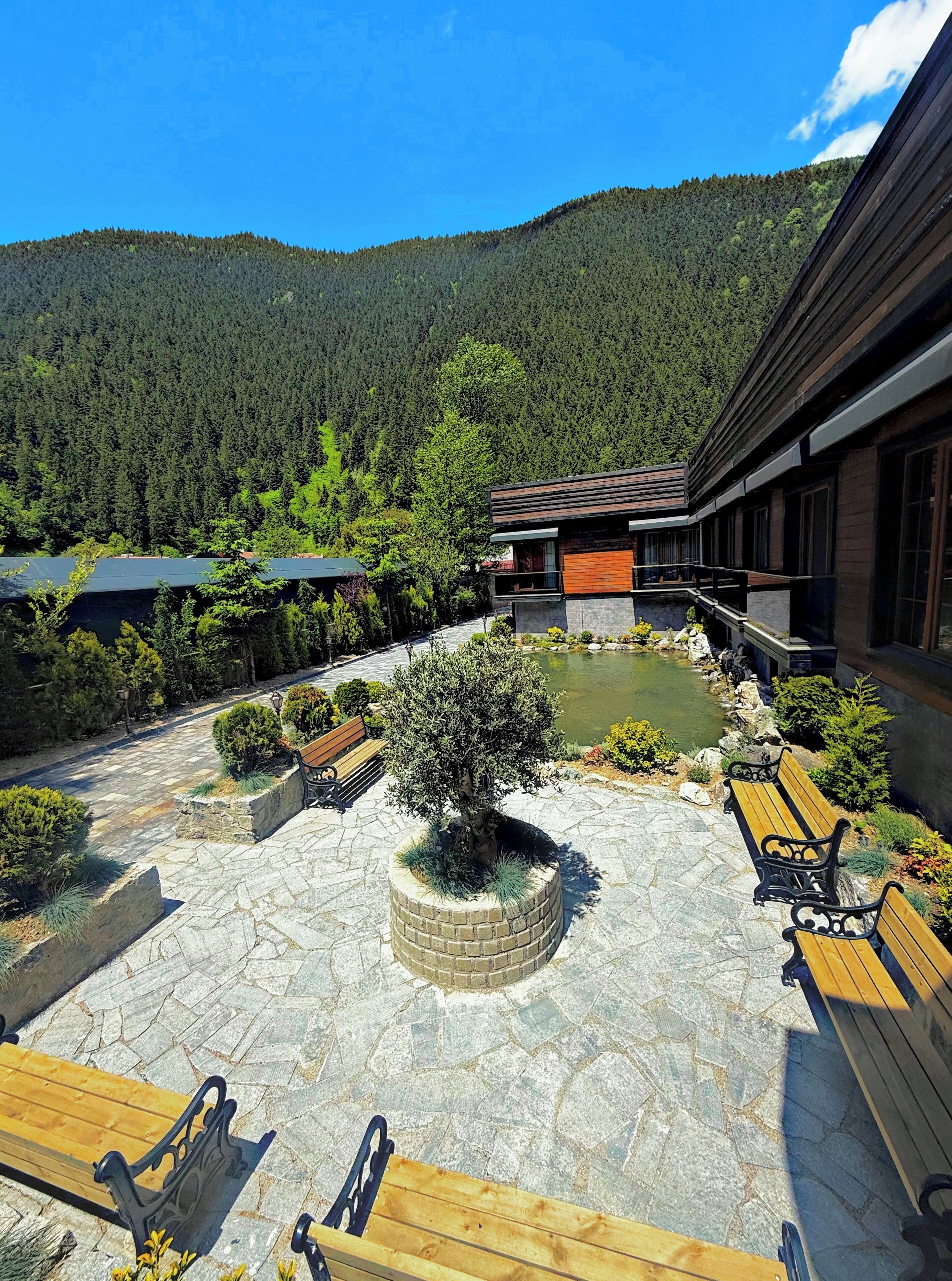 A courtyard with stone flooring, wooden benches, a central tree, and a building with a modern design.