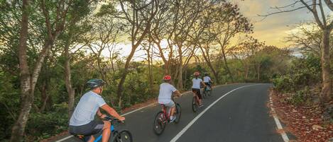 Une route asphaltée où l’on voit des cyclistes.