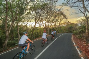 A paved road with cyclists.