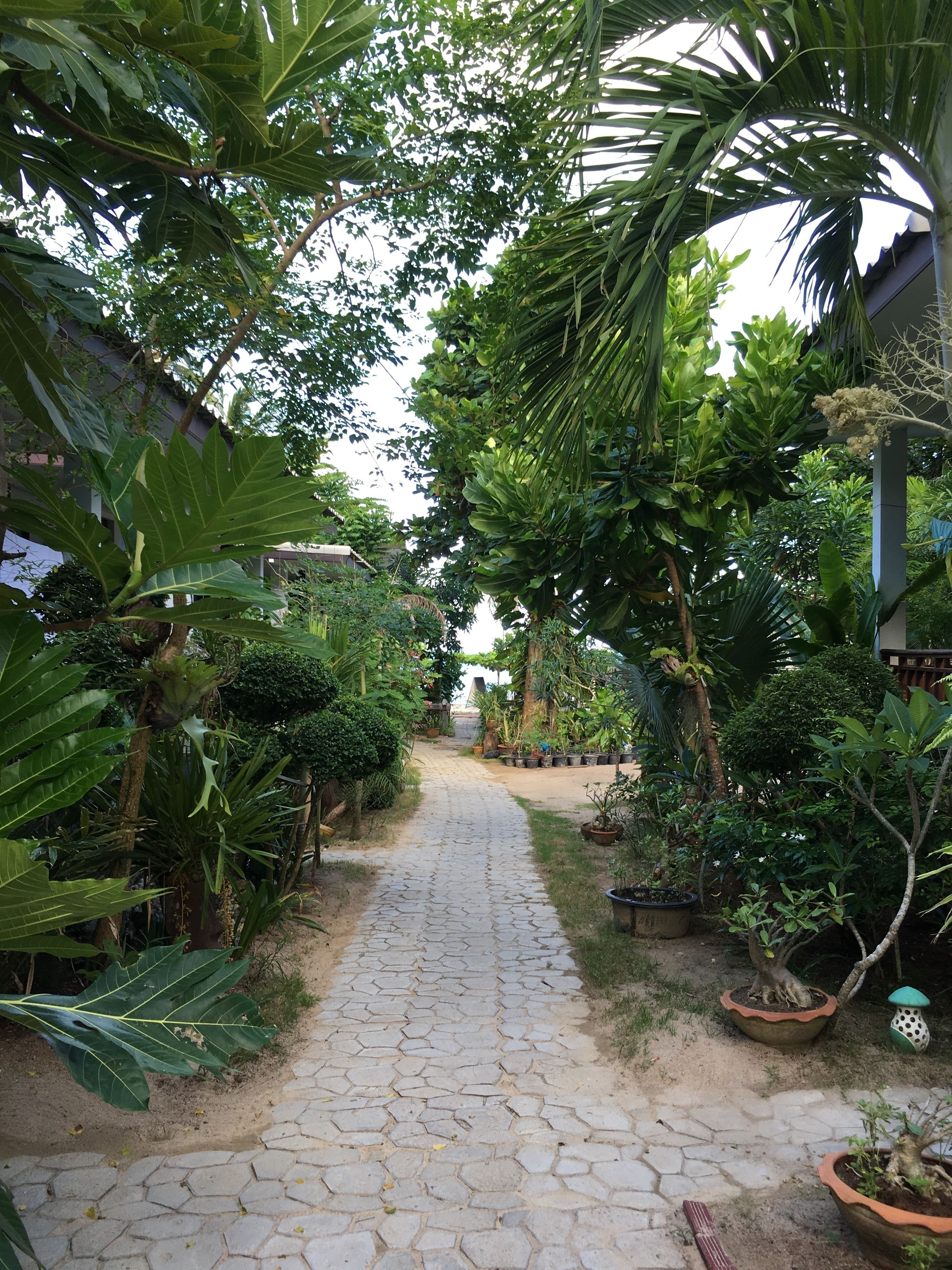 Quang cảnh nhìn từ nơi lưu trú