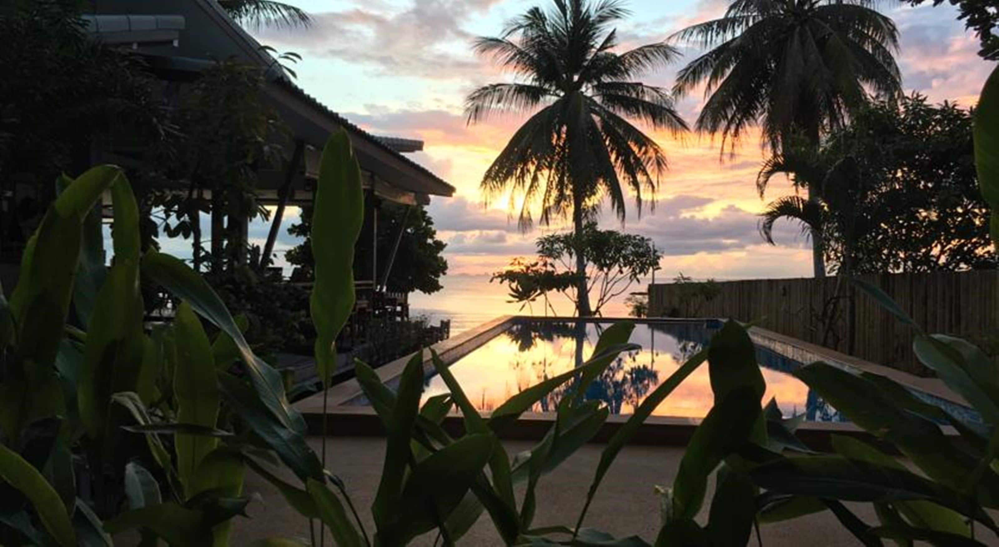 Piscine extérieure, chaises longues