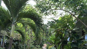 A stone pathway flanked by lush greenery and potted plants. - Benjamin Hut (Ko Pha-ngan)